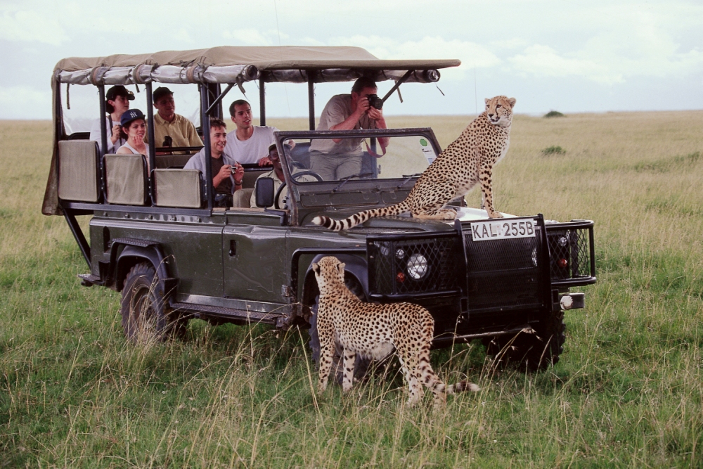 Kenya Budget Escape